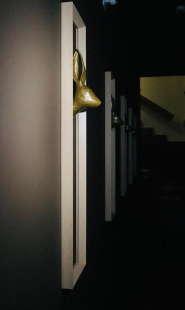 Casa Coelho Guesthouse Коїмбра Екстер'єр фото